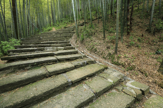 杭州老焦山风光