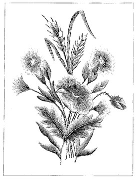 裝飾藝術(shù)圖案
