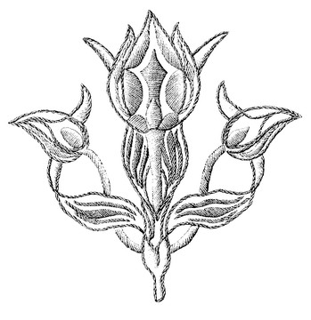 裝飾藝術(shù)圖案
