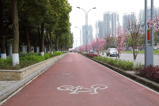 城市道路