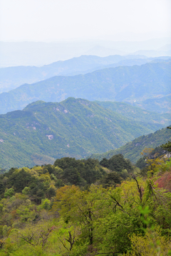 龟峰山风光