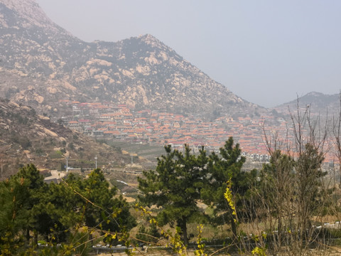 崂山青山村