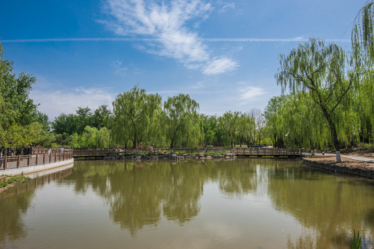 北京湿地风光