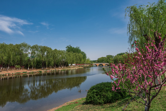 北京湿地风光