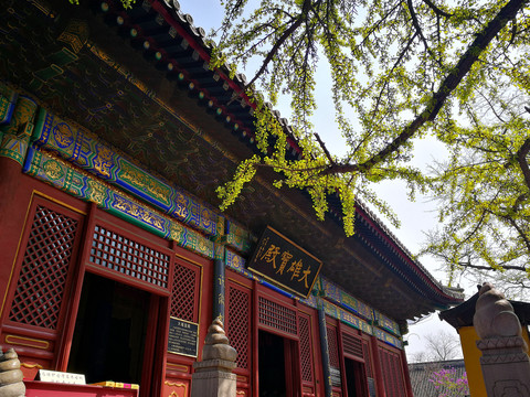 红螺寺大雄宝殿