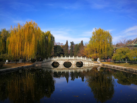 北京大学