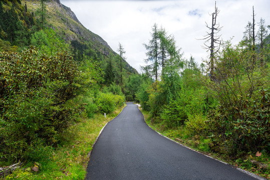 毕棚沟道路