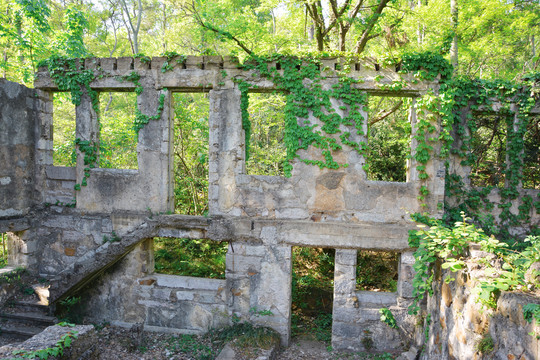 生命与历史建筑残骸