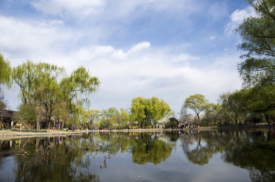 岸上春色湖中影