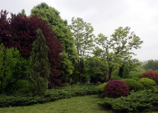 风景