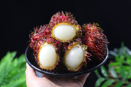 紅毛丹