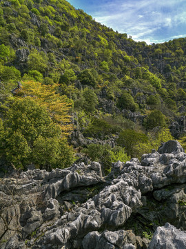 衢州三衢石林景区天坑灰岩