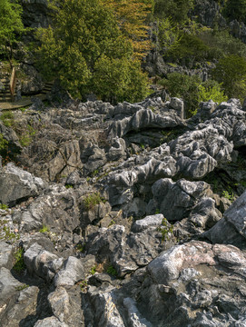 衢州三衢石林景区天坑灰岩地貌