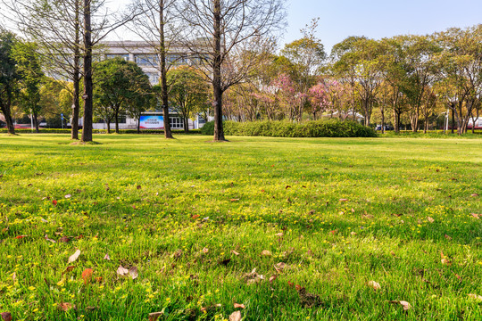 上海交通大学