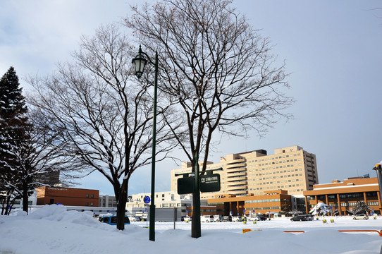 大学雪景