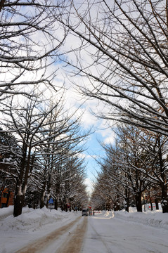 大学雪景