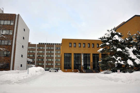 大学雪景
