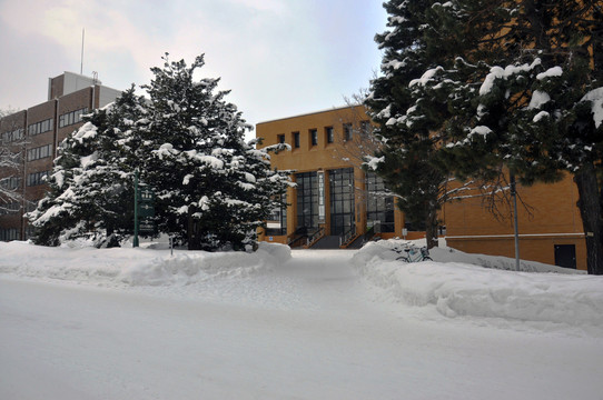 大学雪景