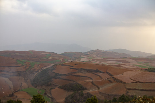 云南东川红土地