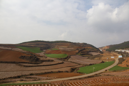 云南东川红土地