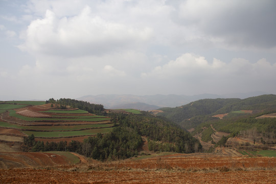 云南东川红土地