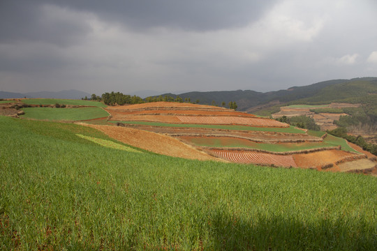 云南东川红土地