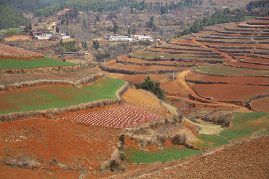 云南东川红土地