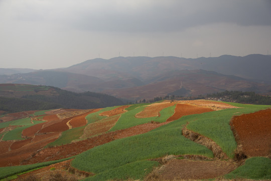 云南东川红土地