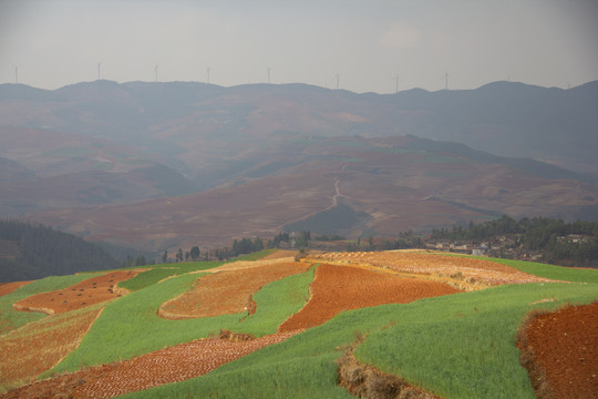 云南东川红土地