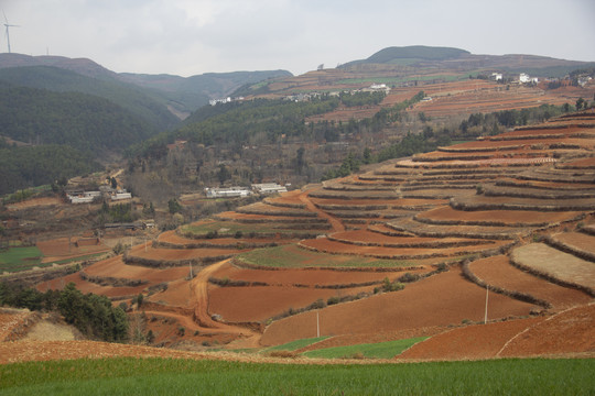 云南东川红土地