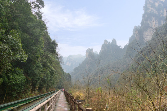 武陵源十里画廊山谷风光