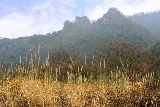 武陵源十里画廊山谷风光