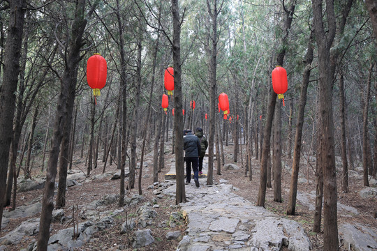 云龙山小路