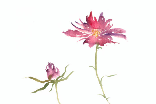 兩朵小花