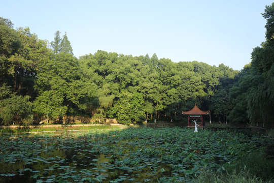 武汉华中科技大学