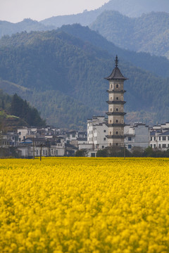 婺源凤山村龙天塔