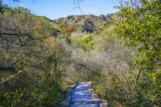 山林步道高清大图