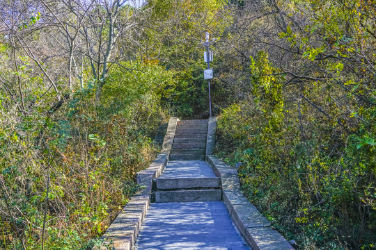 山林步道高清大图