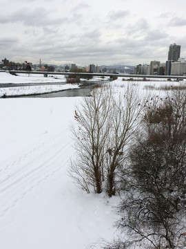 札幌雪景