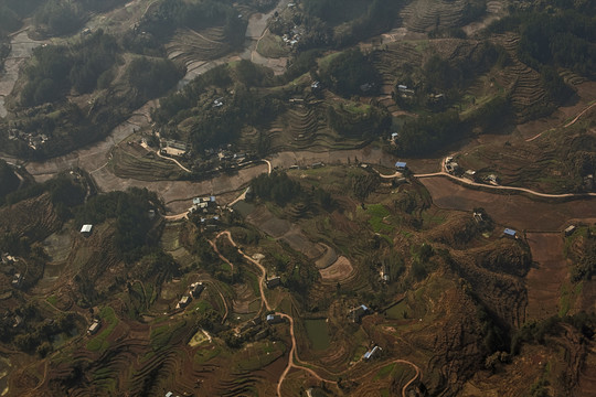 原野