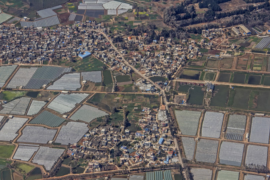 田野