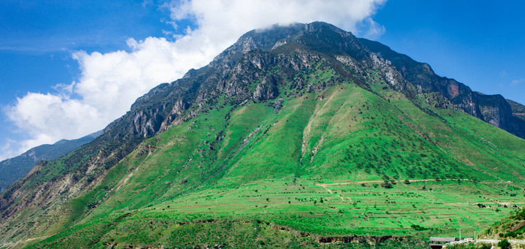 丽江高山草甸