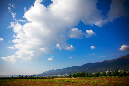 乡村风景