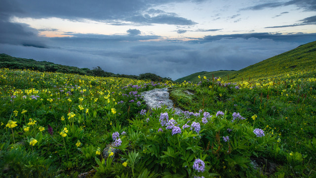 九顶山草地云海