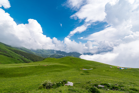 九顶山草地云海