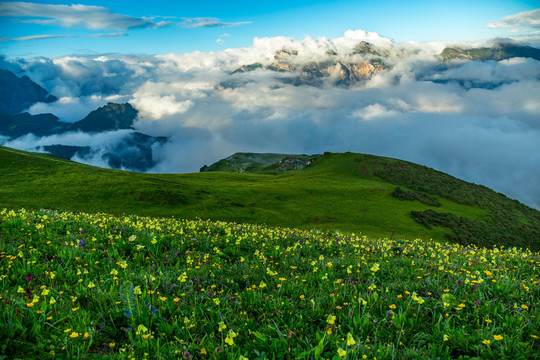 九顶山营地全景