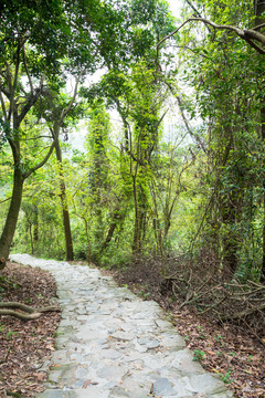 山间步道