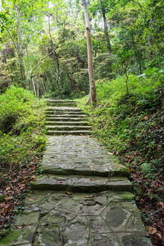 山间步道