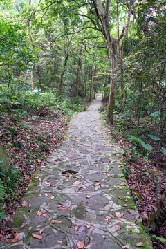 山间步道