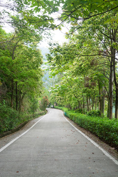 盘山路